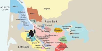 を行うとともに、先行ボルドー地図